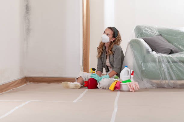 Reliable Mold Remediation contractor in Arlington, TN by WQB Mold Removal